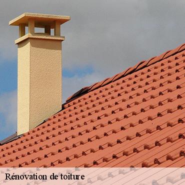 renovation-de-toiture-3