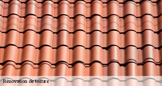renovation-de-toiture-6